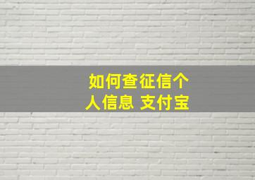 如何查征信个人信息 支付宝